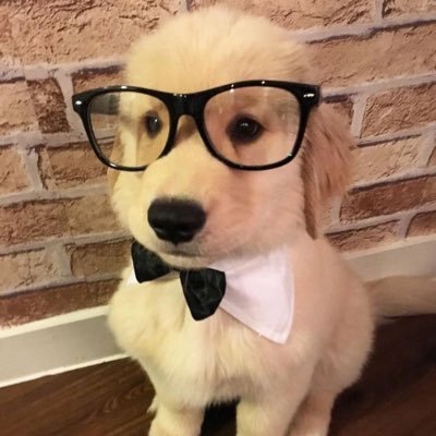 @1emil__