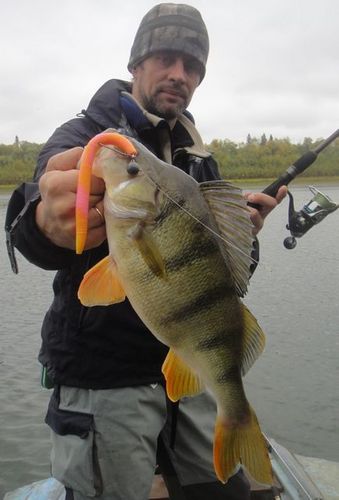 Balachevtcev's profile picture. Увлекаюсь рыбалкой. Сильно. Работа связана с ней же.