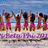 UCSD Pi Beta Phi (@piphisurfcomp) 's Twitter Profile
