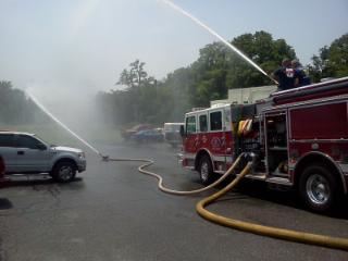 ForestDept's profile picture. 