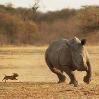 Kandayamoko (@kandayamoko3) 's Twitter Profile