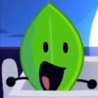 #1 Leafy of shtwt ✨ (@strawbsleep) 's Twitter Profile