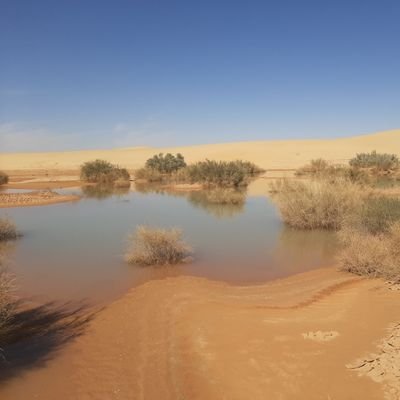 ghabob's profile picture. 🌾ألا كل ماهو آت قريب ... وللأرض من كل حي نصيب🌾