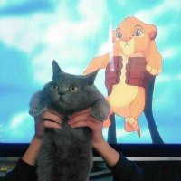 Hanzo (@sagittariuswl) 's Twitter Profile