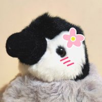 小鞠 天寧🖊 (@komari_amane) 's Twitter Profile