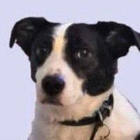 #FreeLuigi 👀 (@spacedooog) 's Twitter Profile Photo