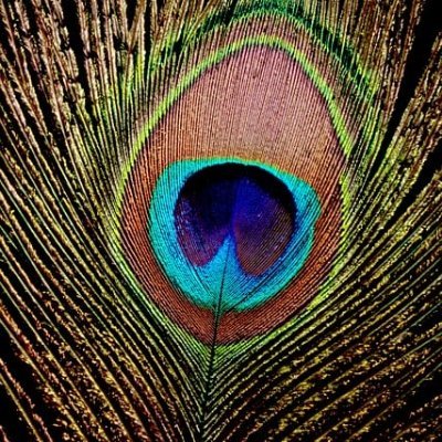 JabdekarSa14097's profile picture. 