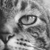 Diāna (@olimpietis2) Twitter profile photo Diāna (@olimpietis2) Twitter profile photo