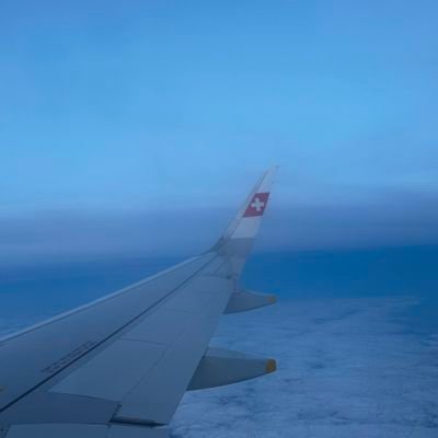 delzaeagle's profile picture. 