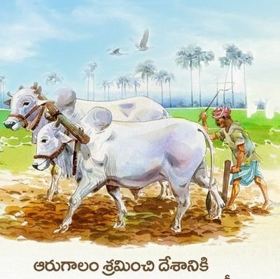 MadhuMahendhe's profile picture. Mahi reddy