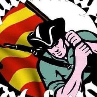 Me agrada la música,els animals i els cotxes.
Sóc del Barça.
Sempre fidel a Catalunya.
MCMLXVI 🦀🦎