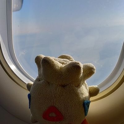 まりささんのプロフィール画像