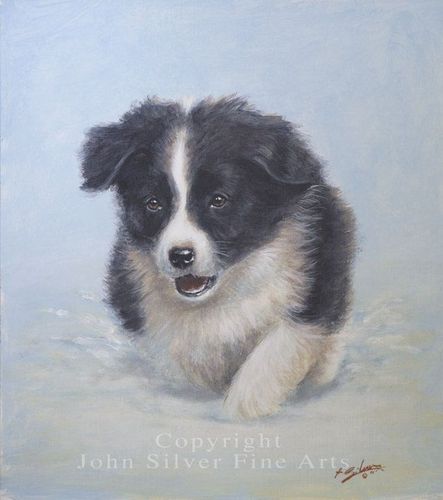 I moved to Cornwall 30 years ago to paint and run the Tiffany Gallery in Looe.