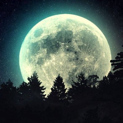 manojasela188's profile picture. #SomniaNetwork