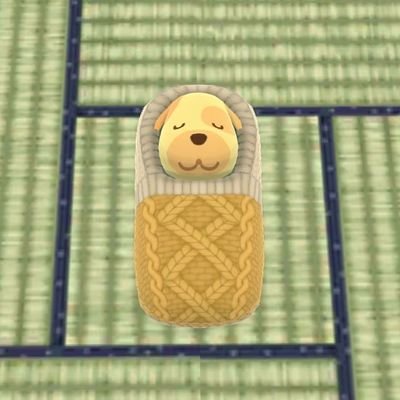 영이さんのプロフィール画像