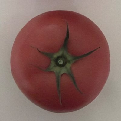 sxziewn's profile picture. 와글와글 𖦹