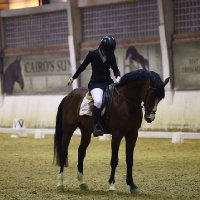 Sydaqa Sabori (@sydaqas60318) 's Twitter Profile