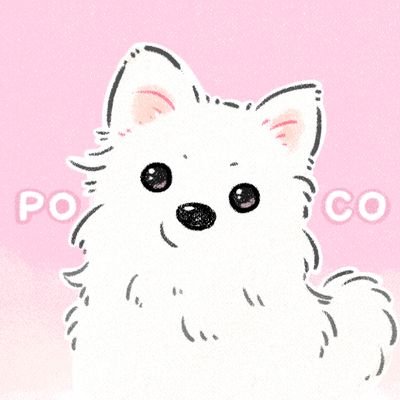ポメラニアンと暮らしています。
ぽこ♀
🎂 2023.1.18
🏠 2023.4.21
無言フォロー失礼します!