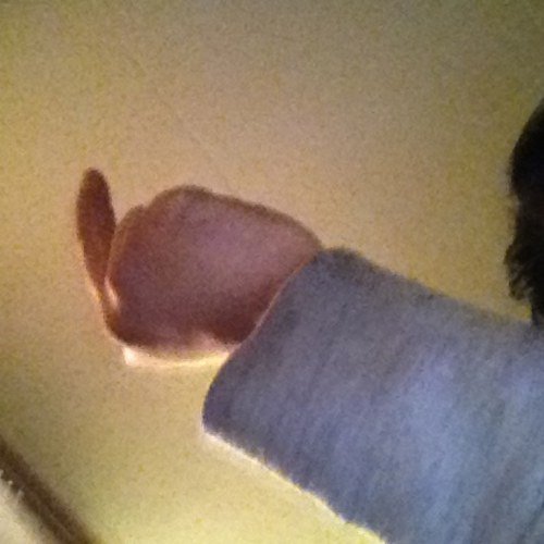 waardaarom's profile picture. im a musician and i play bass guitar and guitar and i eat organic