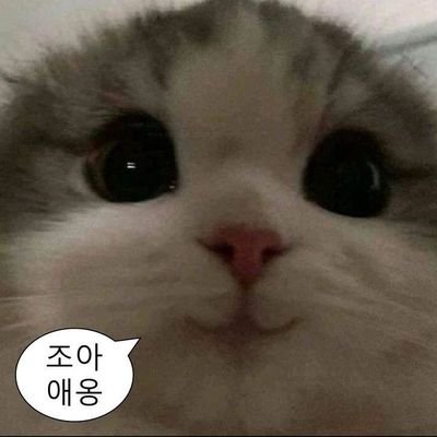 @skcs816