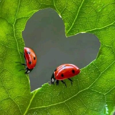 mykulincz's profile picture. mes tweets n'engagent que moi  #streetart  #urbanisme #art 
 #architecture #paris13  coup de cœur 💕 💕 💕 #art  #Urbanart #Le13QueJaime