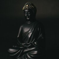 SbudaLuda (@sbublessed8) 's Twitter Profile