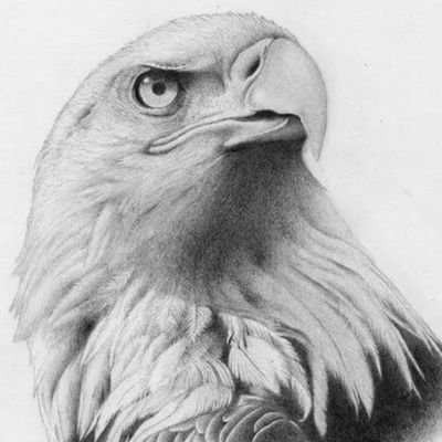 erdelajuerga's profile picture. 