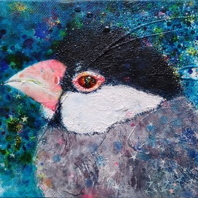 文鳥を愛する、絵描き。桜文鳥ごまと暮らしています✥好きなもの→お酒,カレー(食べる&作る)おいしいもの全般,音楽:三浦大知,藤井風,藤井空,ピアノ,アコーディオン,民族楽器,ジャズ,インド音楽,色々聴きます。
bimakoという名前で絵描き活動しています。@bimako1