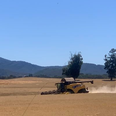 luistakyfuentes's profile picture. LA PEOR LACRA EL COMUNISMO HAY QUE EXTIRPARLO- Soy del 22% , 44% y 62%💪🏼🇨🇱, VIVA LA AGRICULTURA