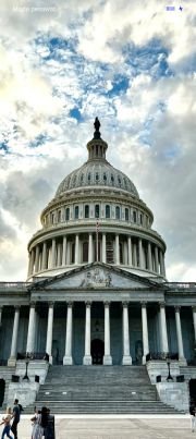 ArecaceaeN59707's profile picture. 