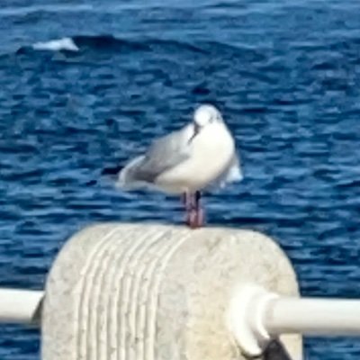 s4fhX7XTb659347's profile picture. 08   研1   雪組の縣千さんが好きです❄️
無言フォロー失礼します🙇