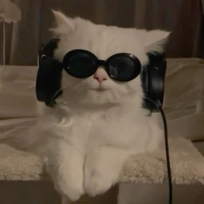kapix46935's profile picture. 