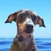 SYLVIA CORRIN (@corrinsylv6314) Twitter profile photo SYLVIA CORRIN (@corrinsylv6314) Twitter profile photo