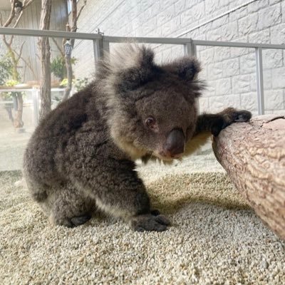 fishorbeef78910's profile picture. 