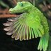 Florida Bird (@timothylanham1) Twitter profile photo Florida Bird (@timothylanham1) Twitter profile photo