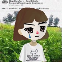 Cheeky Crypto (@ccrypto44726) 's Twitter Profile