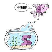 Out of the Fishbowl Podcast (@fishbowlcodcast) 's Twitter Profile Photo Out of the Fishbowl Podcast (@fishbowlcodcast) 's Twitter Profile Photo