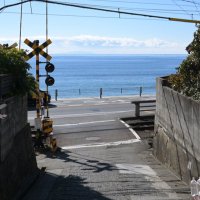 こまね (@my_xfn) 's Twitter Profile