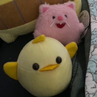 Rさんのプロフィール画像
