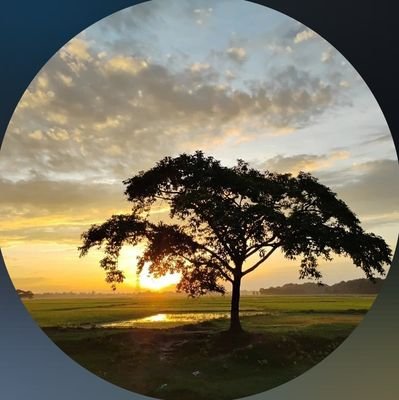 2006sj11's profile picture. IIT KANPUR 📍 28
EE