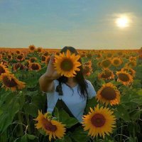 yukiki (@yukiki18108921) 's Twitter Profile