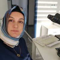 Dr Aygün Yörükoğlu (@pathologistay) 's Twitter Profile Photo Dr Aygün Yörükoğlu (@pathologistay) 's Twitter Profile Photo