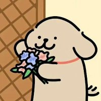haha🇨🇳（互fo 100%） (@haha321123haha) 's Twitter Profile Photo