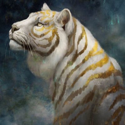 Pave9999999999's profile picture. 