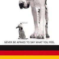 Ansche (@ansche79) 's Twitter Profile
