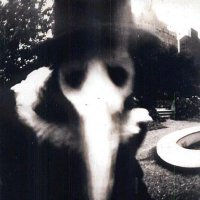 EUronymous (@outer_shadow) 's Twitter Profile