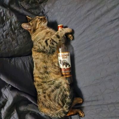 Gorik198's profile picture. 