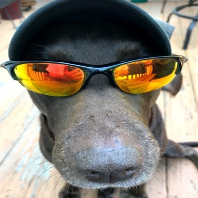 NC_MsR3b3l's profile picture. You Do You - just don't tread on me