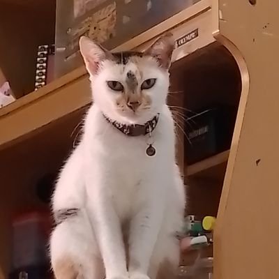 anakbaikcekilaa's profile picture. Hum