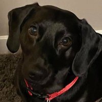 Kimberly Smith 🇺🇸♥️🤍💙MAGA (@shaebabysmith) 's Twitter Profile
